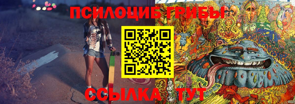 Волгодонск  Псилоцибиновые грибы Psilocybe  Вход с VPN 