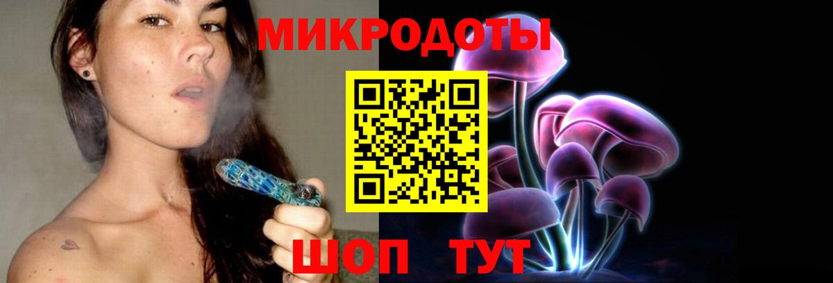 Псилоцибиновые грибы Psilocybe Волгодонск